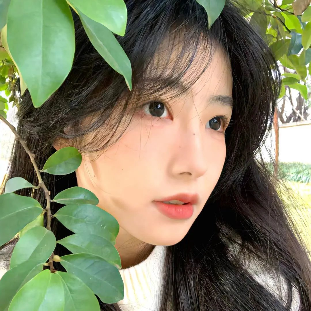 夏日时光机