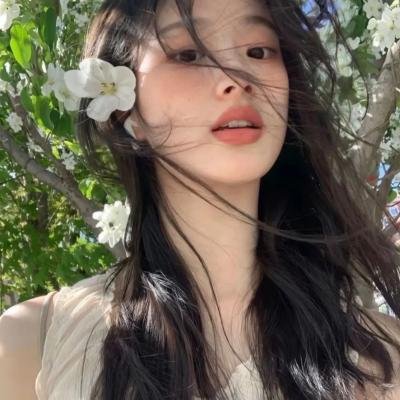 新沙洞燕子
